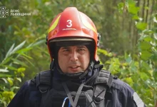За добу на Львівщині зафіксували 49 пожеж, більшість — в екосистемах