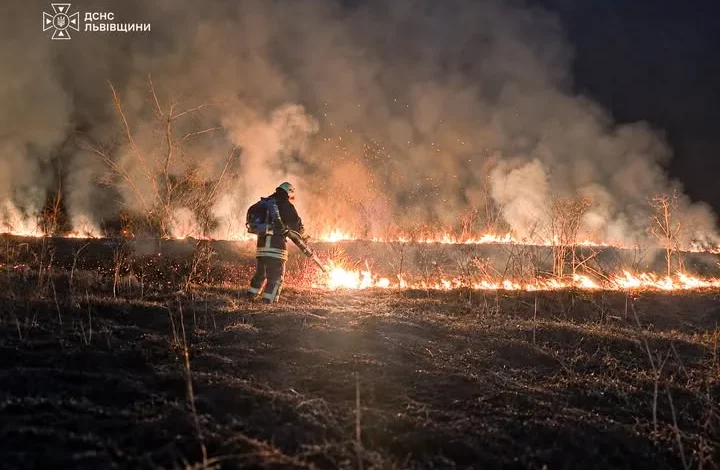 На Львівщині за добу зафіксували 64 пожежі в екосистемах