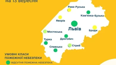 Прогноз пожежної небезпеки на 13 вересня: відсутня або низька, місцями середня