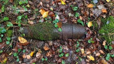 На Львівщині сапери знищили артснаряд часів Другої світової війни