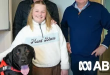 Як підготувати домашнього улюбленця до подорожі на поромі Spirit of Tasmania