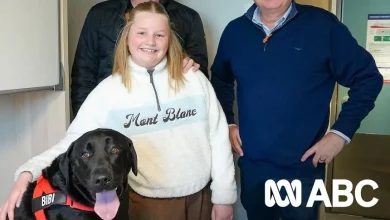 Як підготувати домашнього улюбленця до подорожі на поромі Spirit of Tasmania