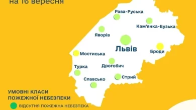 Прогноз пожежної небезпеки на 16 вересня: низький та місцями середній рівень