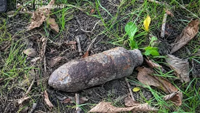 У львівському парку виявили та знищили застарілий боєприпас