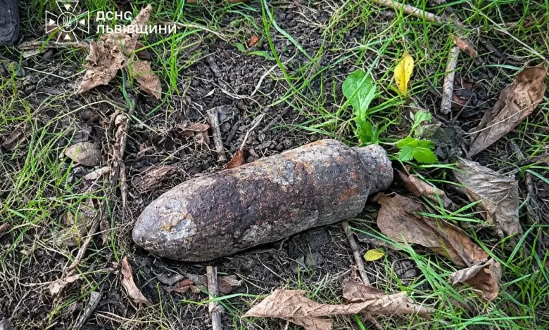 У львівському парку виявили та знищили застарілий боєприпас