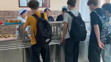 Як організували безоплатне харчування у гімназії №12 Шептицької громади
