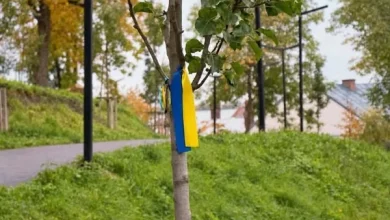У Дублянах планують створити простір Памʼяті Героїв