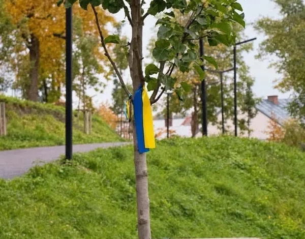 У Дублянах планують створити простір Памʼяті Героїв
