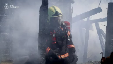 На Львівщині за добу зафіксували 14 пожеж, з них 4 в екосистемах