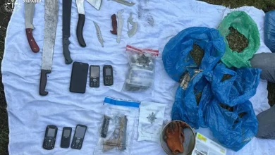 На Самбірщині судитимуть 53-річного чоловіка за вирощування конопель і зберігання зброї