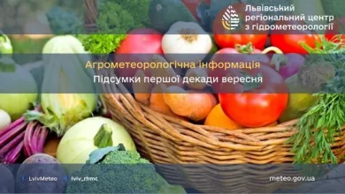 Агрометеорологічні підсумки другої декади вересня на Львівщині