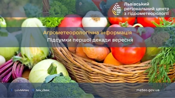 Агрометеорологічні підсумки другої декади вересня на Львівщині