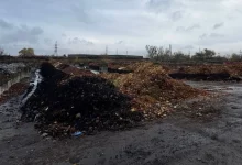 Львівська станція компостування приймає перше опале листя