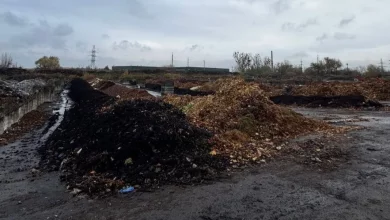 Львівська станція компостування приймає перше опале листя