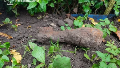 У селі Стоділки на Львівщині під час робіт виявили мінометну міну часів Другої світової