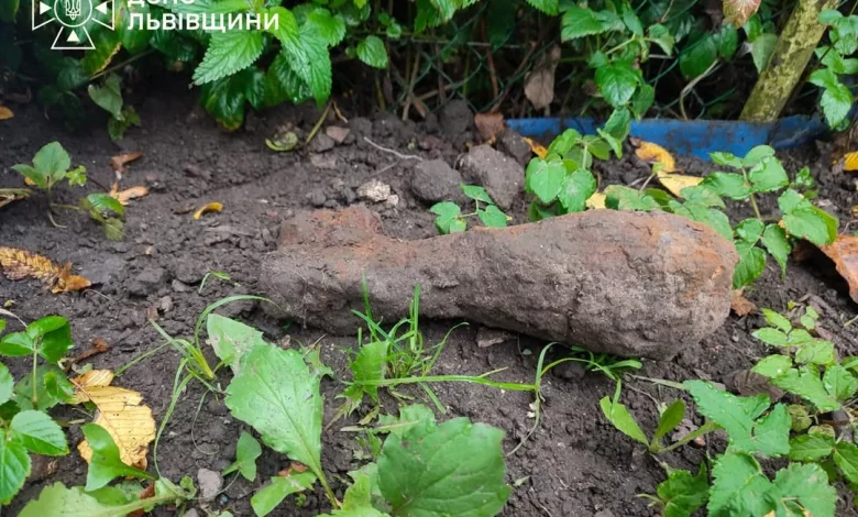 У селі Стоділки на Львівщині під час робіт виявили мінометну міну часів Другої світової