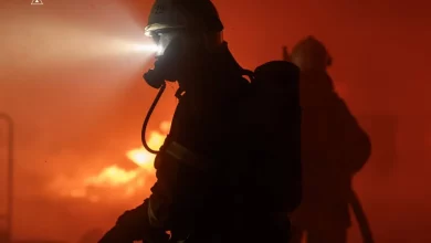 На Львівщині за добу загасили 10 пожеж, серед них три в екосистемах