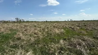 Львів та Малі Підліски виставляють на аукціон 5 ділянок для бізнесу