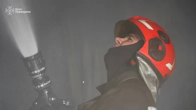На Львівщині за добу виникло 9 пожеж, одна — в екосистемі