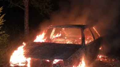 У селі Вовчатичі Стрийського району згорів легковий автомобіль