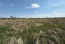 У Львові та Малих Підлісках продадуть п’ять ділянок для бізнесу