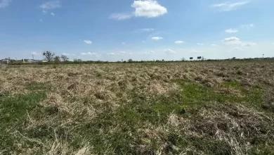 У Львові та Малих Підлісках продадуть п’ять ділянок для бізнесу