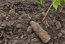 Поблизу села Стоділки на Львівщині знищили артилерійський снаряд часів Другої світової