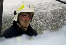На Львівщині за добу сталося 9 пожеж, з них три в екосистемах