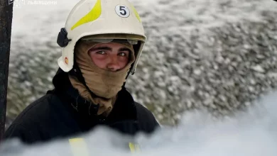 На Львівщині за добу сталося 9 пожеж, з них три в екосистемах
