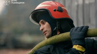 На Львівщині за добу ліквідували 10 пожеж, половина — в екосистемах