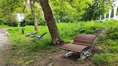 У Львові завершують осінню акарицидну обробку парків