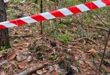 На Львівщині у лісах та на подвір’ї виявили боєприпаси часів Другої світової