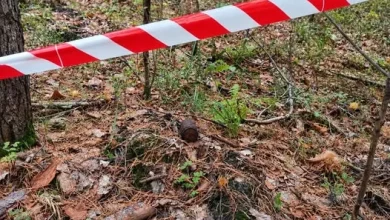 На Львівщині у лісах та на подвір’ї виявили боєприпаси часів Другої світової