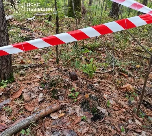 На Львівщині у лісах та на подвір’ї виявили боєприпаси часів Другої світової