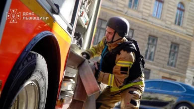 На Львівщині за добу ліквідували 14 пожеж, вісім з них — в екосистемах