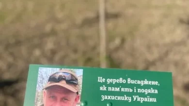 В Острові відкрили Алею пам’яті випускників-захисників України