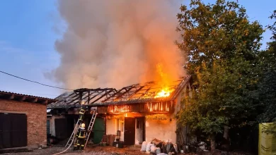 У Кам’янці-Бузькій під час пожежі в господарській будівлі врятували тварин і гараж