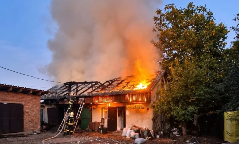 У Кам’янці-Бузькій під час пожежі в господарській будівлі врятували тварин і гараж