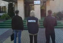 На Стрийщині посадовцю лісництва оголосили підозру через незаконну вирубку ялин у заказнику