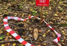 На Львівщині грибники натрапили на два боєприпаси часів Другої світової війни