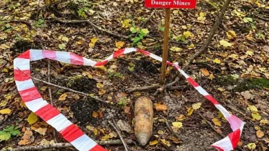 На Львівщині грибники натрапили на два боєприпаси часів Другої світової війни