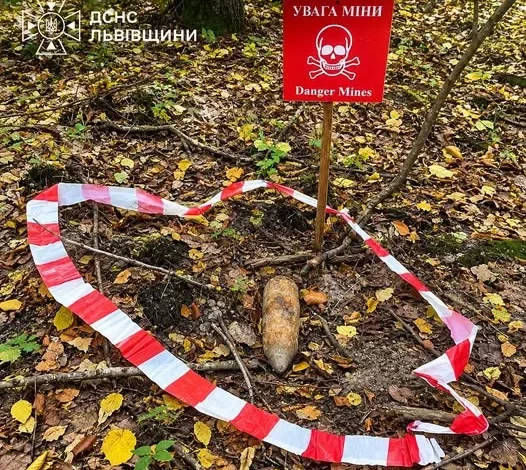 На Львівщині грибники натрапили на два боєприпаси часів Другої світової війни