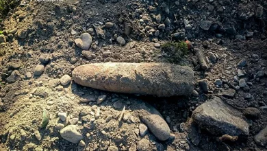 У селі Грабовець на Львівщині знайшли артснаряд часів Другої світової