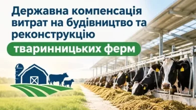 З 2026 року тваринницькі господарства зможуть отримати до 25% компенсації на будівництво ферм