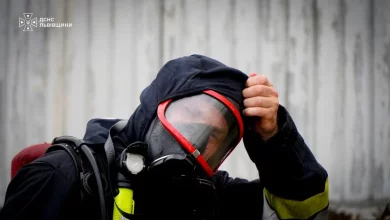 За добу на Львівщині сталося 48 пожеж, більшість — в екосистемах
