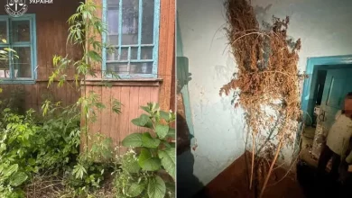 На Львівщині судитимуть двох чоловіків за постачання метадону до колонії