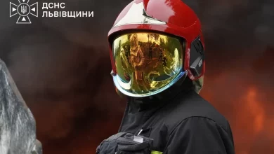 На Львівщині за добу ліквідовано 8 пожеж, одну з них — в екосистемі