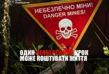 На Львівщині під час земляних робіт виявили два снаряди Другої світової війни