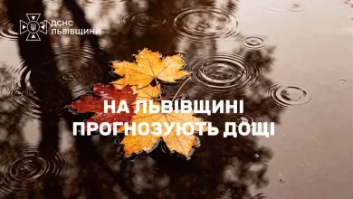 На Львівщині 11 жовтня місцями прогнозують сильні дощі