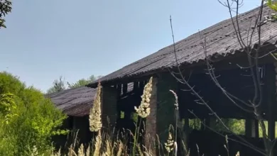 Оголошено аукціони з продажу нерухомості в Мостиськах та Санниках